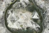 Quartz Stalactite Slice with Calcite Center - Uruguay #138775-1